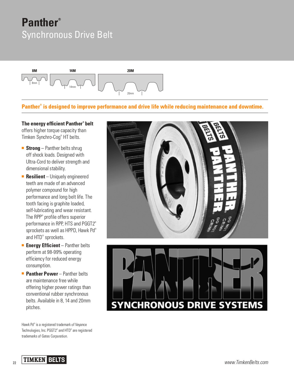 Panther® Synchronous Timing Belt   2000-8MPT-36
