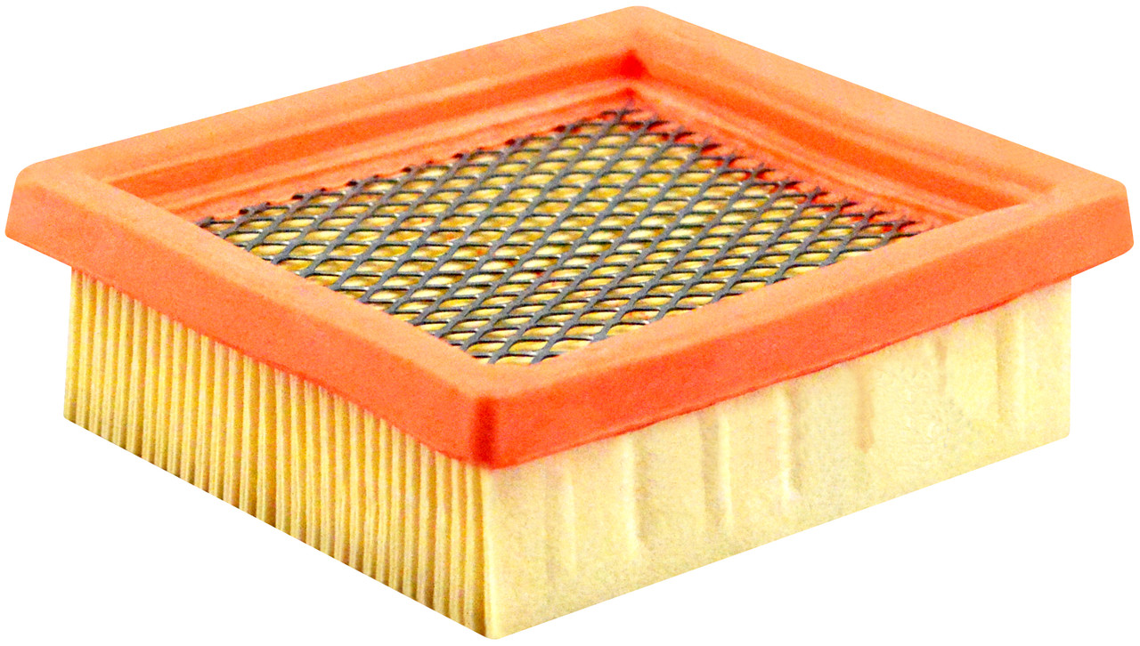 Panel Air Element  PA30053