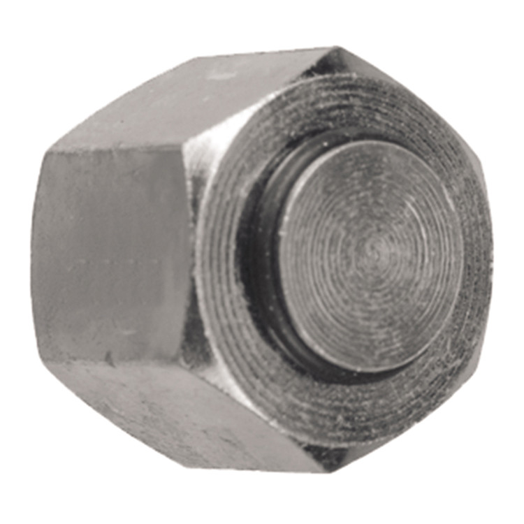 1/4" Steel BSPP Hex Cap   26000-04