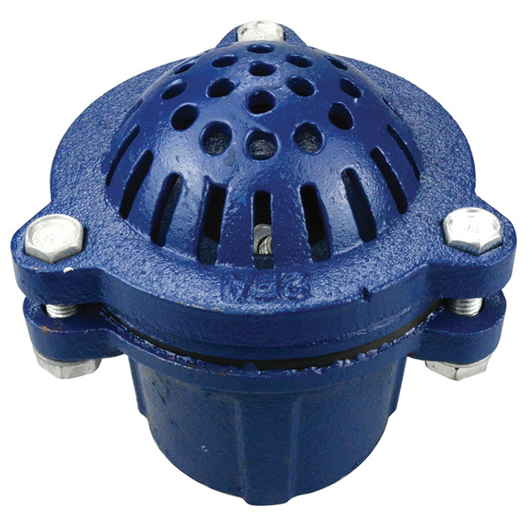 1-1/2" Economy Cast Iron Foot Valve w/ Strainer  G34EFV-150