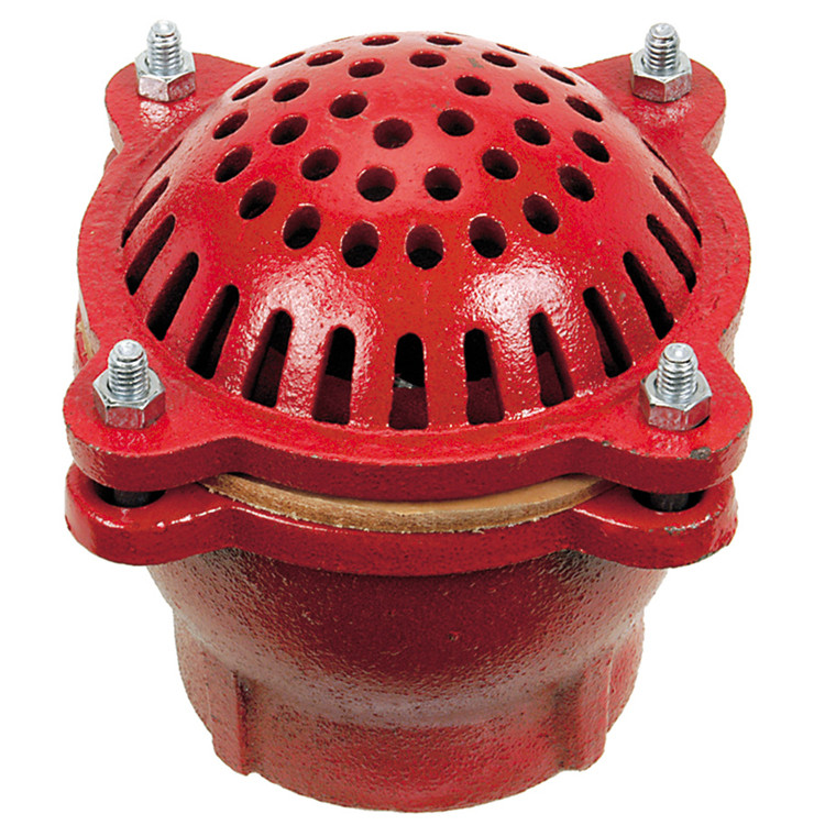 2-1/2" Premium Cast Iron Foot Valve w/ Strainer  G34FV-250