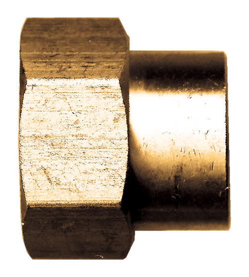 3/4"-11.5 x 3/4" Brass Female Water Hose - Female NPT Coupler  198-E