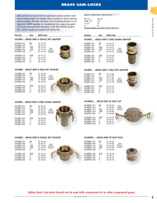 1-1/4" Brass Type DP Dust Plug  G65BRDP-125