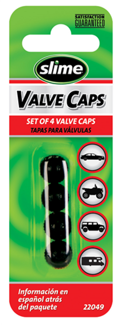 Plastic Valve Caps   24038
