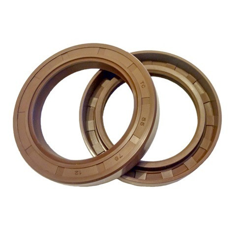 55mm (2.165") Metric Rubberized Double Lip Viton Oil Seal  55X70X8 HMSA7 V