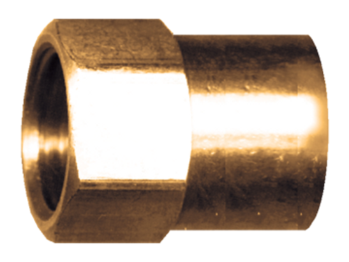 3/16 x 1/8" Brass Female 45° SAE Inverted Flare - Female NPT Connector  146-3A