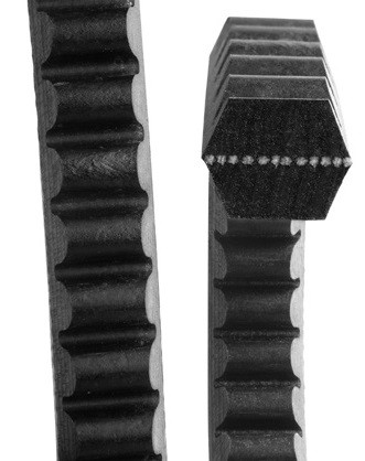 Gold Ribbon® Cog Belt® Double Sided Hexagon Feather Picker Belt   BBX195FP