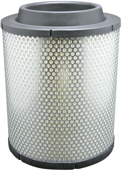 Radial Seal Air Element  RS5438