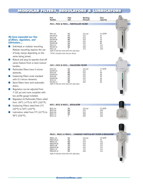 1/2" NPT Air Regulator  R652-08