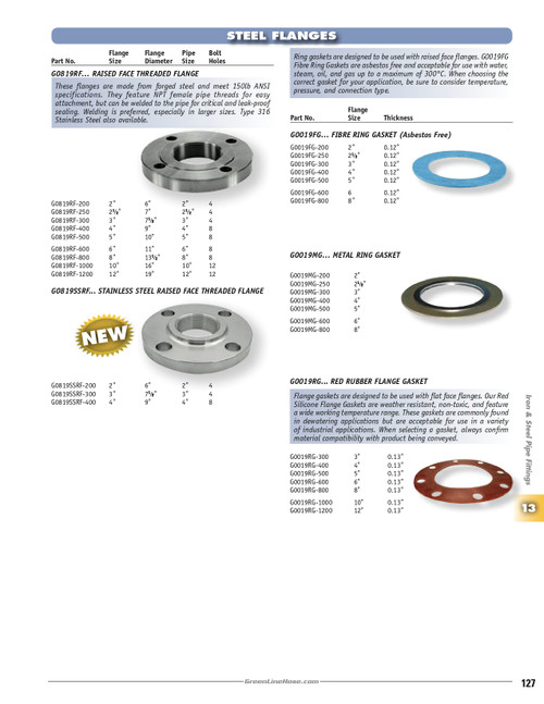 2" 150 LB Stainless Steel Raised Face Threaded Flange   G0819SSRF-200