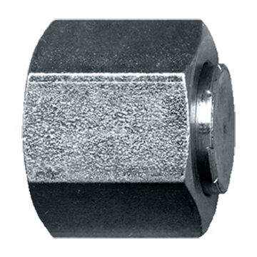 11/16"-16  Steel Female ORFS Hex Sealing Cap  S3956-6