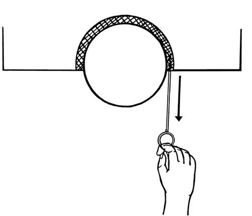 Sneaky Pete Seal Removal Tool   27000