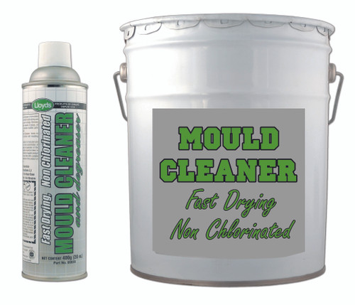 Mould Cleaner - Non Chlorinated 400g Aerosol  66820