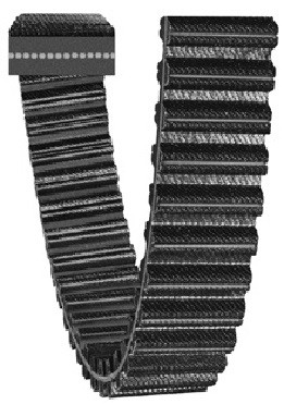 Dual Synchro-Cog® Timing Belt   D1800-5M-25