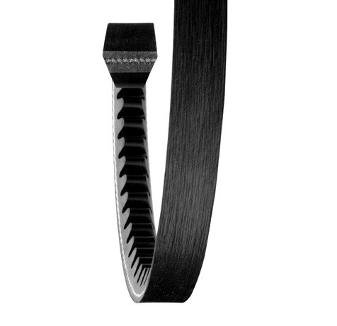Gold Ribbon® Cog Belt® V-Belt   BX65