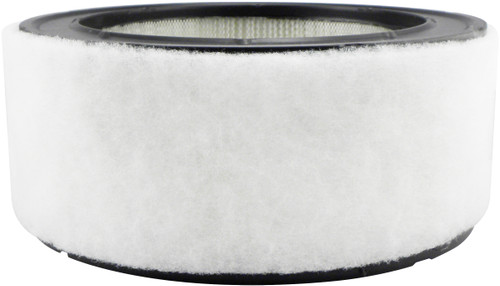 Air Element with Foam Wrap  PA2115