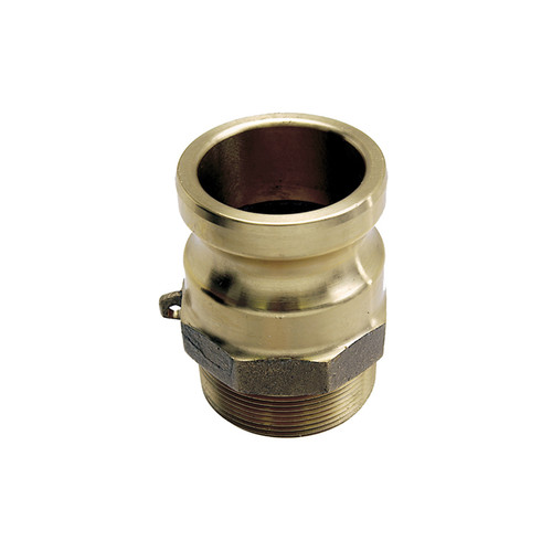 1" Brass Type F Male Camlock - Male NPT  G65BRF-100