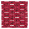 Arkansas Razorbacks Rotary Queen Bed in a Bag Set