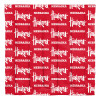 Nebraska Cornhuskers Rotary Queen Bed in a Bag Set