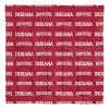 Indiana Hoosiers Rotary Queen Bed in a Bag Set