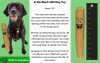 B the Blunt 420 Dog Toy, black dog, green and brown cylindrical dog toy with smiley face, built-in squeaker inside.