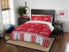 Detroit Red Wings NHL Queen Bed In a Bag Set