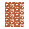 Texas Longhorns Twin Rotary Bed In a Bag Set