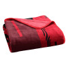 NCAA Digitize Texas Tech Red Raiders Raschel Throw Blanket