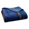 MLB Digitize Houston Astros Raschel Throw Blanket