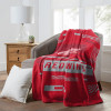 NHL Digitize Detroit Red Wings Raschel Throw Blanket