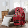 MLB Arizona Diamondbacks Signature Raschel Throw Blanket