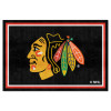 NHL Chicago Blackhawks 5' x 8' Plush Rug