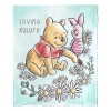 Disney Winnie The Pooh Daisies and Friends Silk Touch Throw Blanket