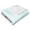 Warner Bros. Powerpuff Girl Power Silk Touch Throw Blanket