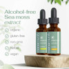 Sea Moss Liquid Drops bottles, organic, gluten-free, non-GMO, herbal, vegan supplement with dropper lids on a wooden platform, green labels.