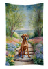 Rhodesian Ridgeback Spring Path Kitchen Towel Dish Cloths product image at NuMercy