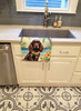 Cocker Spaniel Luau Kitchen Towel Dish Cloths DAC6410 product image at NuMercy 2
