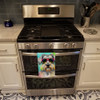 Schnauzer Hippie Dawg Kitchen Towel Dish Cloths DAC2553 product image at NuMercy 3