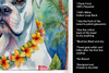 White Boxer Luau Kitchen Towel Dish Cloths DAC6386 product image at NuMercy 5