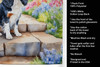 Cavalier Spaniel Spring Path Kitchen Towel Dish Cloths DAC6594 product image at NuMercy 5