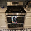 Belgian Sheepdog Luau Kitchen Towel Dish Cloths product image at NuMercy 3