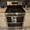 Bergamasco Sheepdog Spring Path Kitchen Towel Dish Cloths product image at NuMercy 3