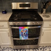 Old English Sheepdog Hippie Dawg Kitchen Towel Dish Cloths DAC2534 product image at NuMercy 3