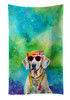 Weimaraner Hippie Dawg Kitchen Towel Dish Cloths DAC2565 product image at NuMercy