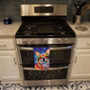 Chihuahua Hippie Dawg Kitchen Towel Dish Cloths DAC2487 product image at NuMercy 3