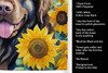 Newfoundland in Sunflowers Kitchen Towel Dish Cloths DAC6124 product image at NuMercy 5