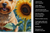 Norwich Terrier in Sunflowers Kitchen Towel Dish Cloths product image at NuMercy 5
