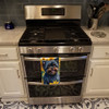 Affenpinscher in Sunflowers Kitchen Towel Dish Cloths product image at NuMercy 3