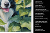 Border Collie in Sunflowers Kitchen Towel Dish Cloths DAC6031 product image at NuMercy 5