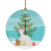 Sphynx Cat Christmas Ceramic Ornament CK4800 product image at NuMercy